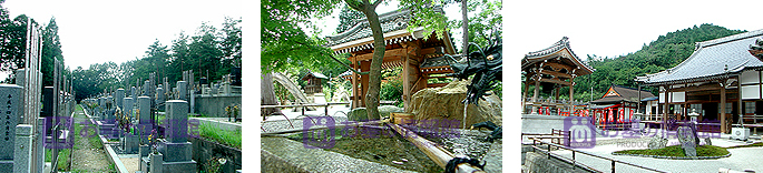 無量山永興寺の園内の写真