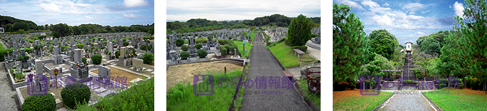 堺市営 堺市霊園（鉢ヶ峯公園墓地）の園内の写真
