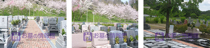 京阪奈墓地公園の園内の写真