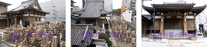 安楽寺墓地の園内の写真